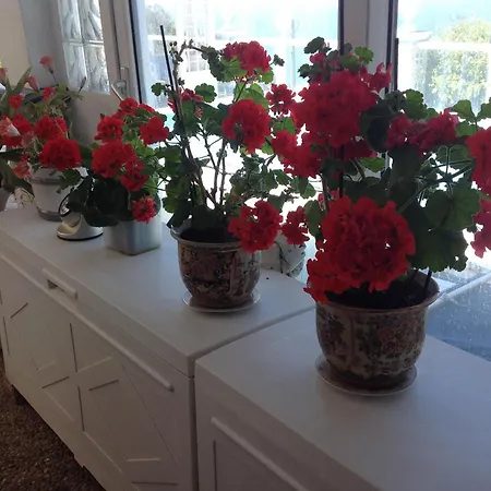 Bed and breakfast La Guardia