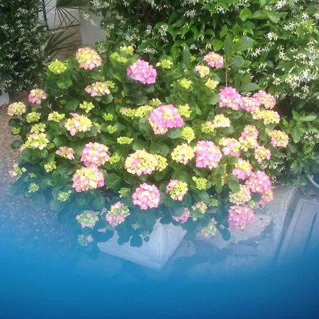 La Guardia Bed & Breakfast