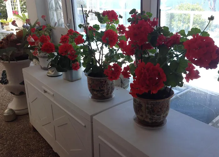 Bed & Breakfast La Guardia